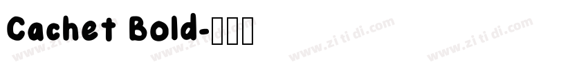 Cachet Bold字体转换